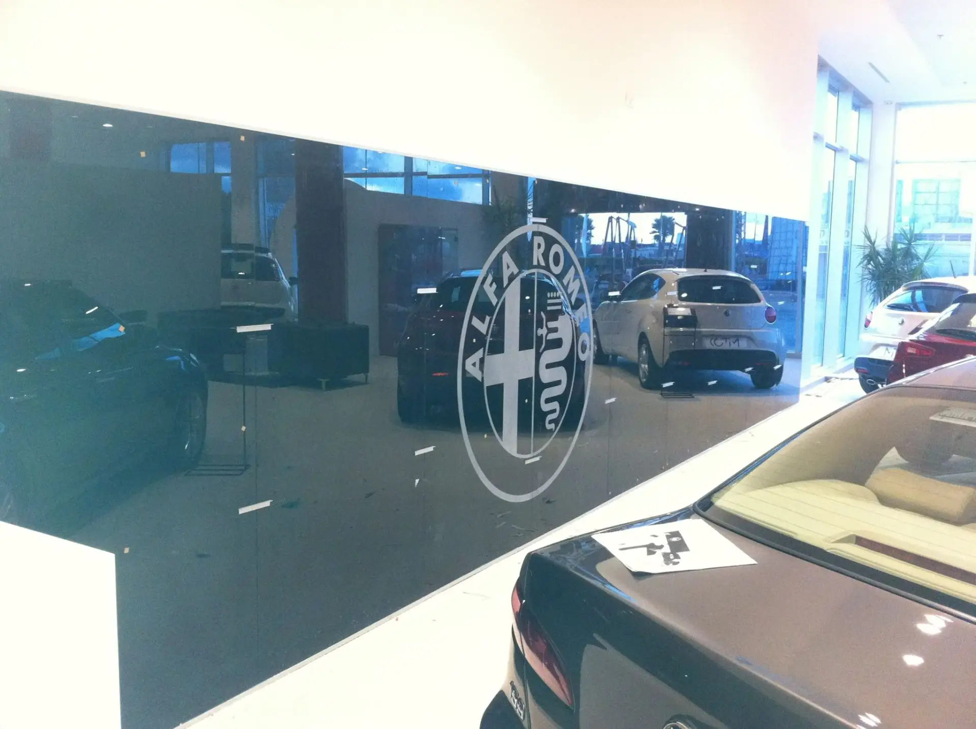 ויטרינה עם לוגו